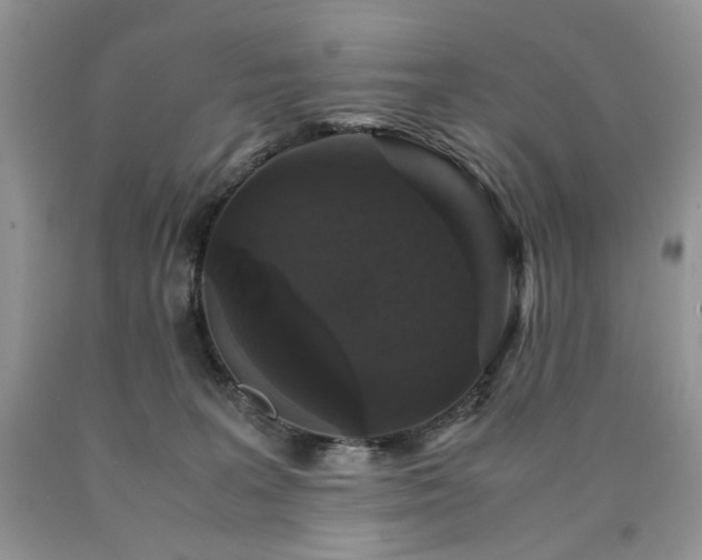 X0000090760227200707201510