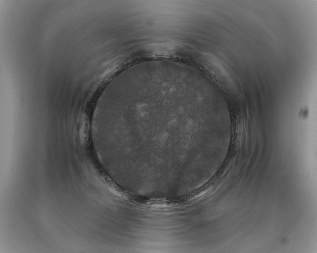 X0000090760228200707201510