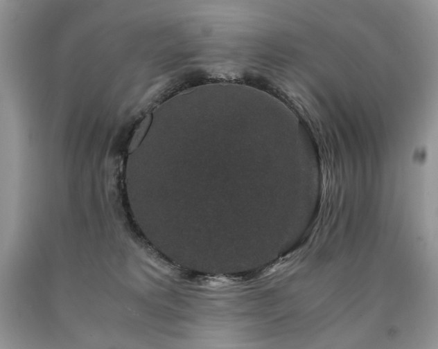 X0000090760229200707201510