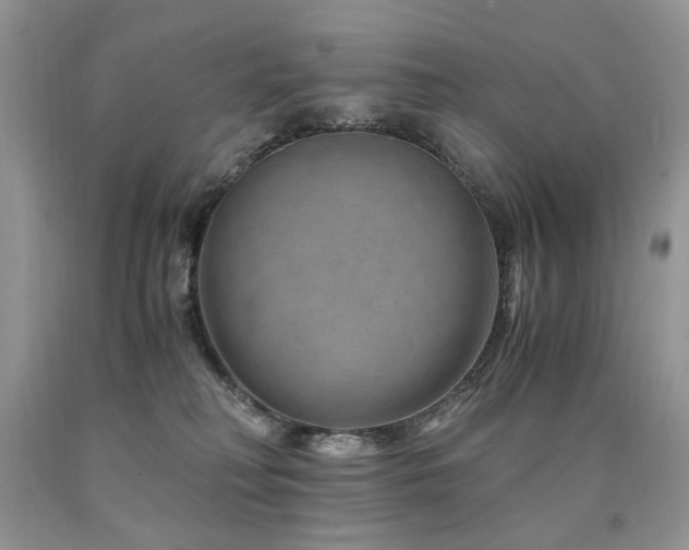 X0000090760230200707201510