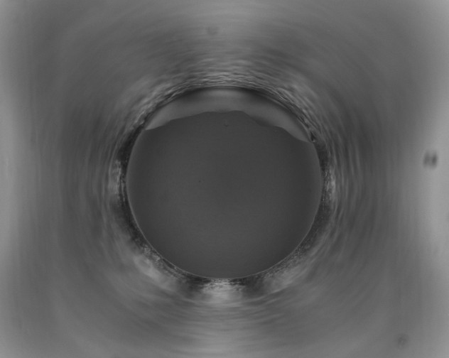 X0000090760231200707201510