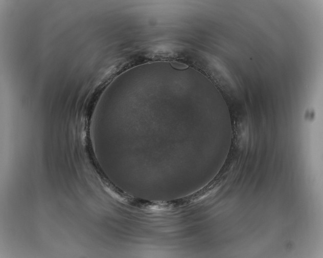 X0000090760232200707201510