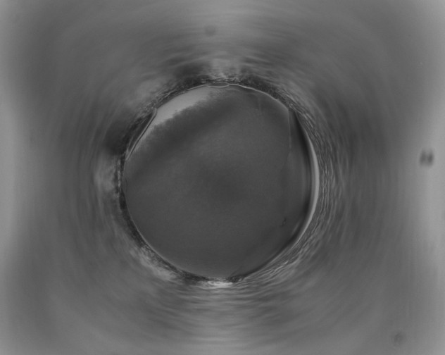 X0000090760233200707201510