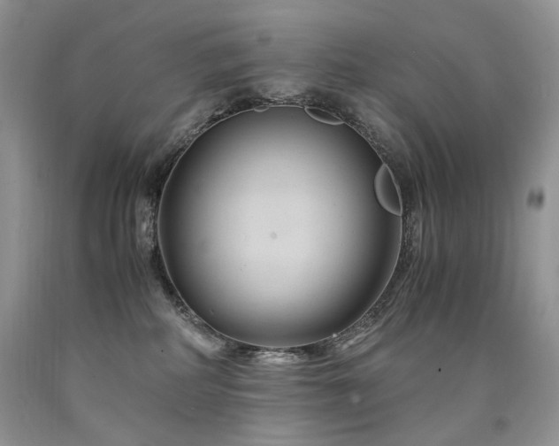 X0000090760234200707201510