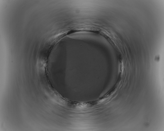 X0000090760235200707201510