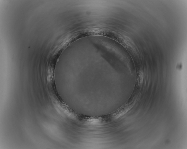 X0000090760236200707201510