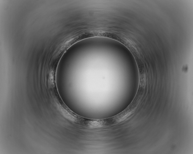 X0000090760238200707201510