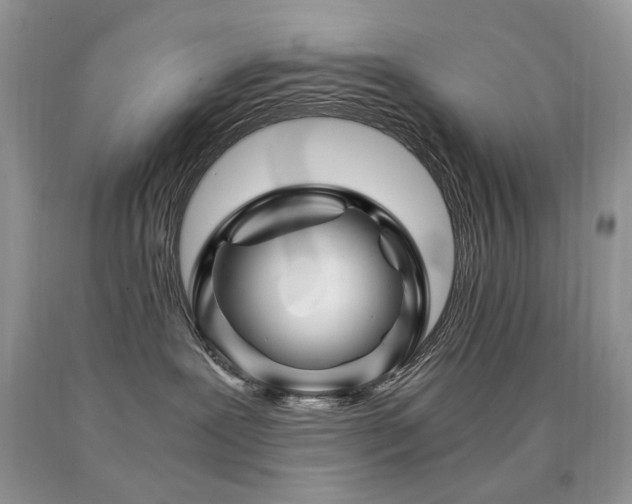 X0000090760239200707201510