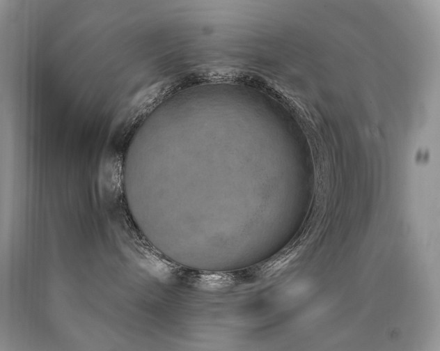 X0000090760240200707201510