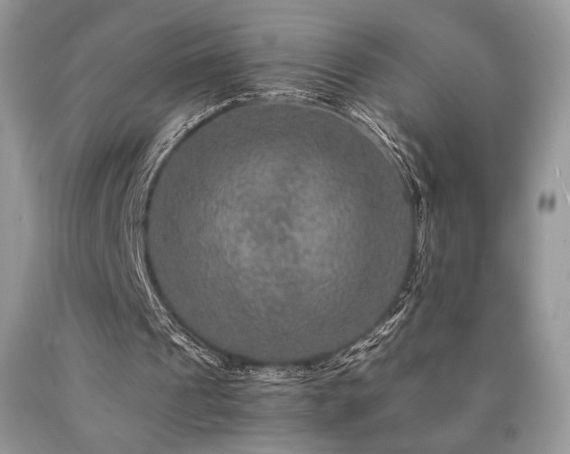 X0000090760241200707201509