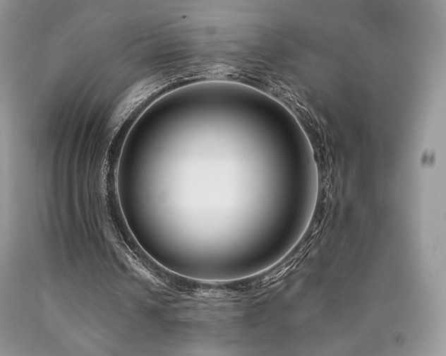 X0000090760242200707201509