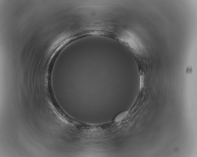 X0000090760243200707201509