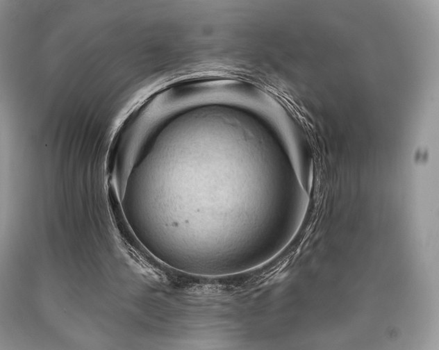 X0000090760244200707201509