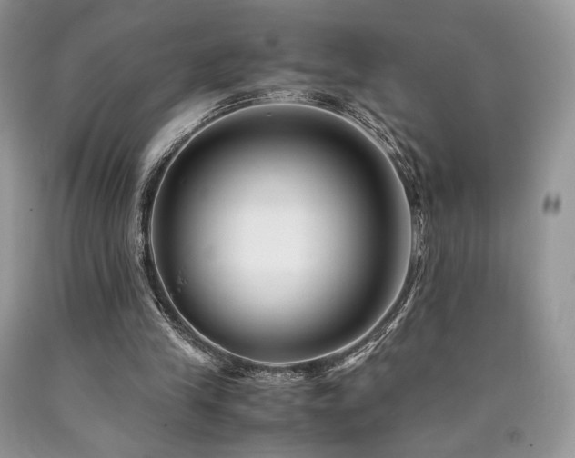 X0000090760245200707201509