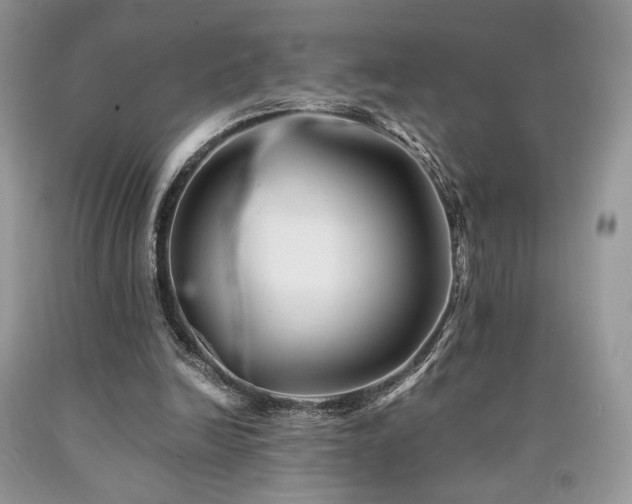 X0000090760246200707201509