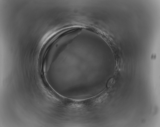 X0000090760247200707201509