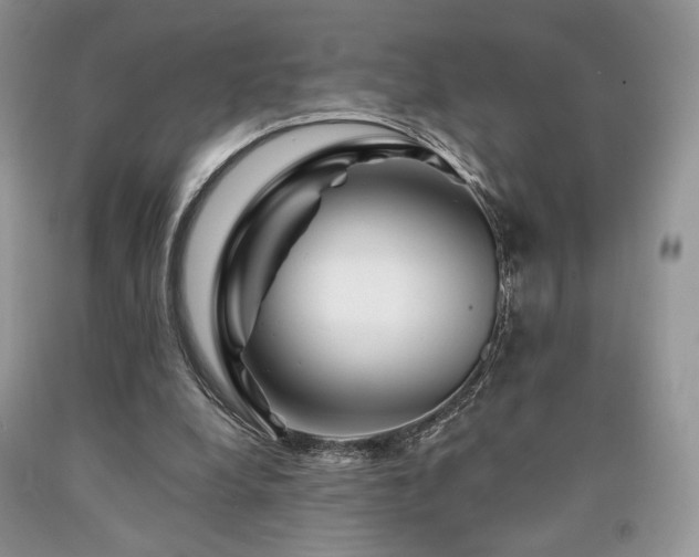 X0000090760248200707201509