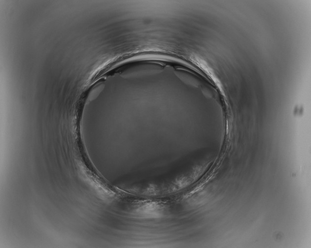 X0000090760249200707201509