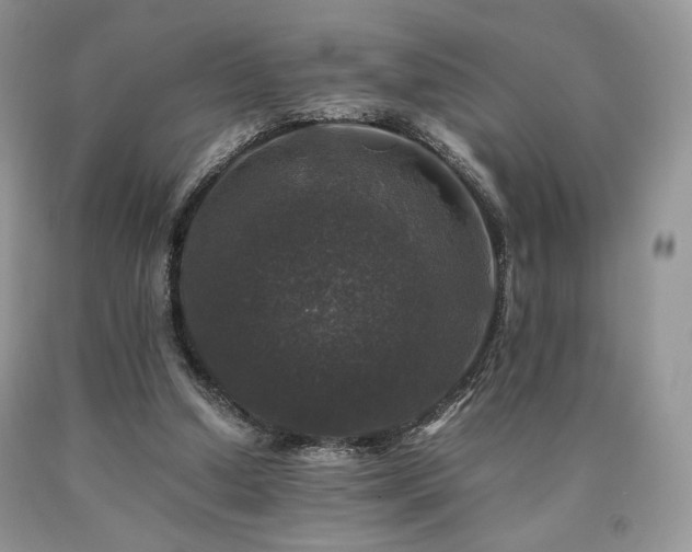 X0000090760250200707201509