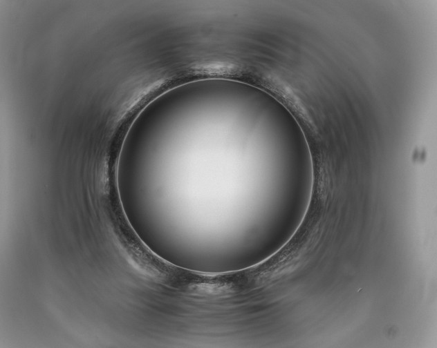 X0000090760251200707201509