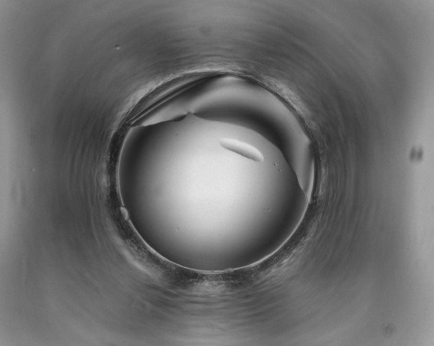 X0000090760252200707201509