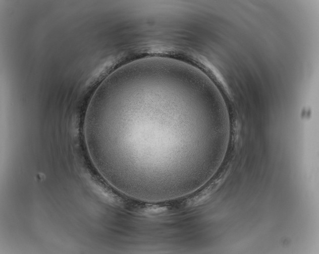 X0000090760257200707201509