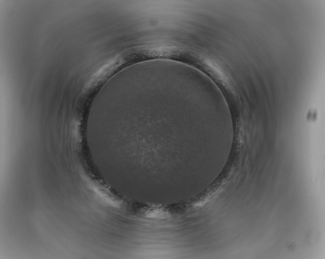 X0000090760258200707201509