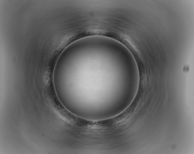 X0000090760259200707201509