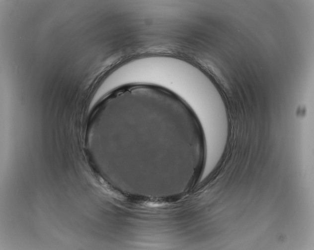 X0000090760260200707201509