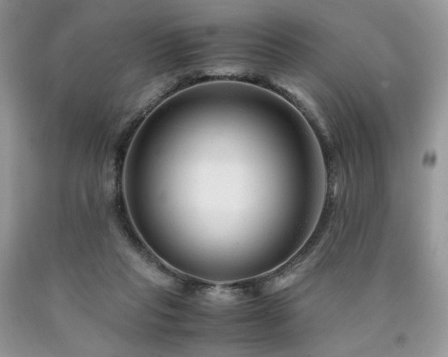 X0000090760261200707201509