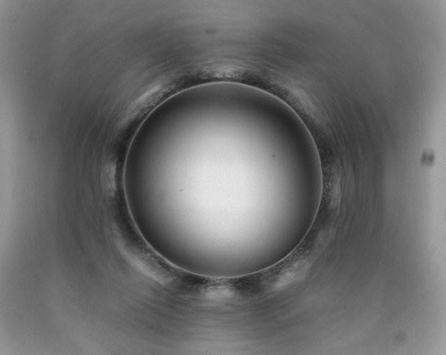 X0000090760262200707201509