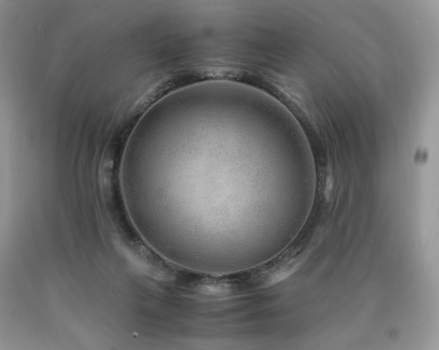 X0000090760263200707201509