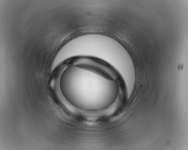 X0000090760264200707201509