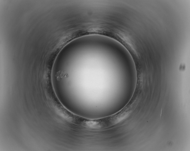 X0000090760265200707201509