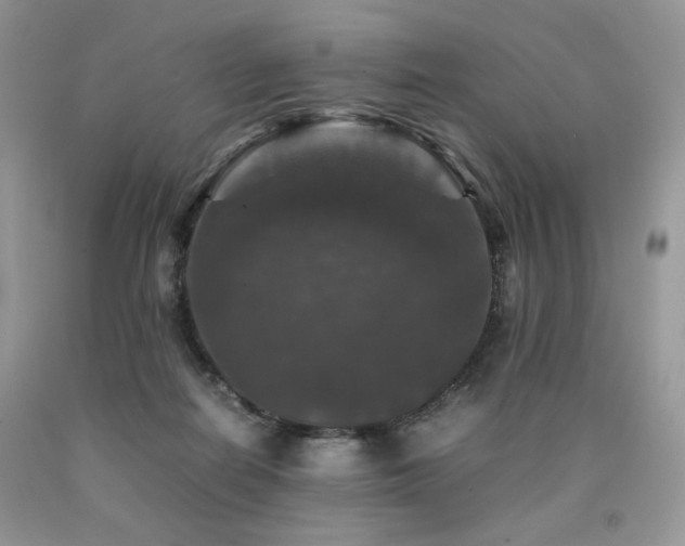 X0000090760266200707201509