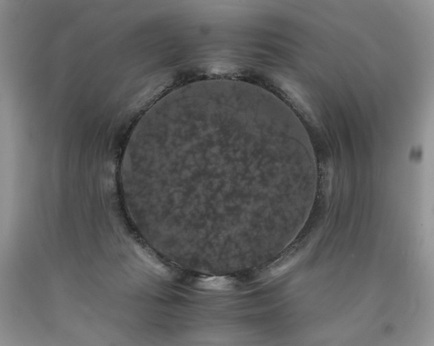 X0000090760269200707201509