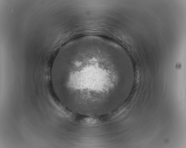 X0000090760272200707201510