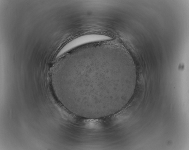 X0000090760273200707201510