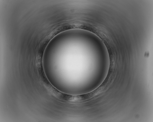 X0000090760274200707201510