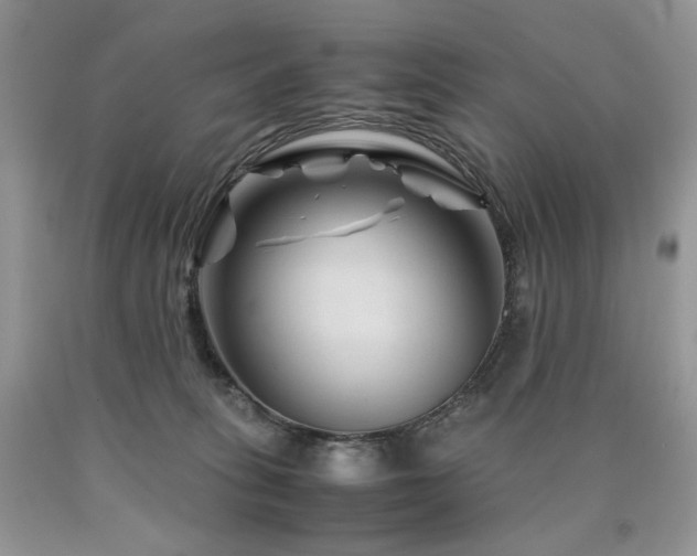 X0000090760275200707201510