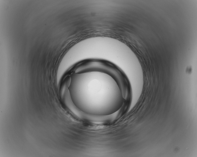 X0000090760276200707201510