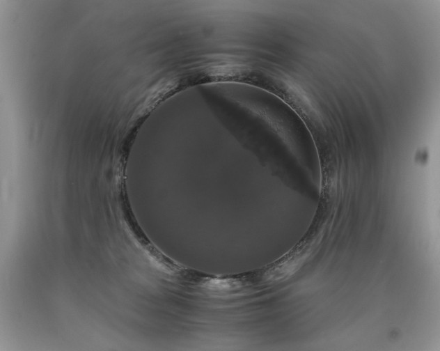 X0000090760277200707201510