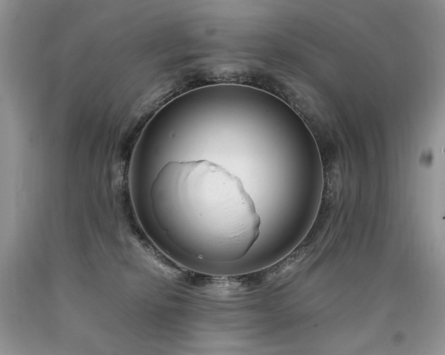 X0000090760278200707201510