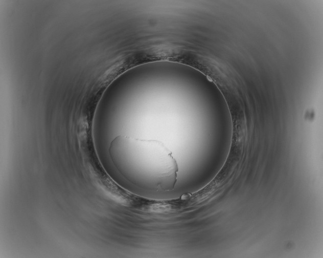 X0000090760279200707201510