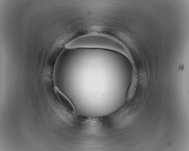 X0000090760280200707201510