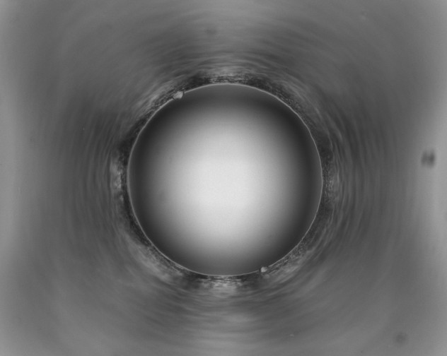 X0000090760282200707201510