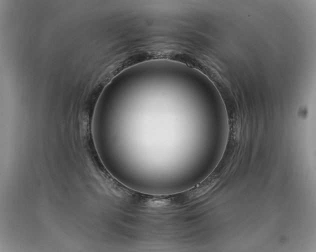 X0000090760283200707201510