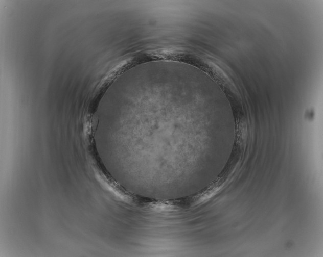 X0000090760284200707201510