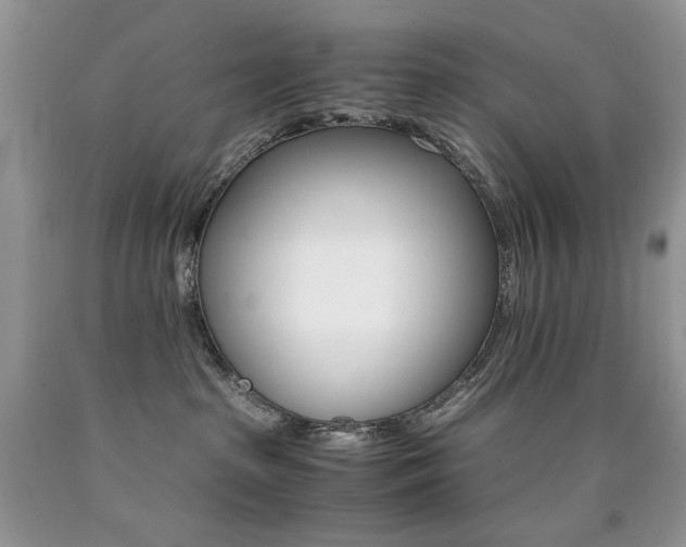 X0000090760285200707201510