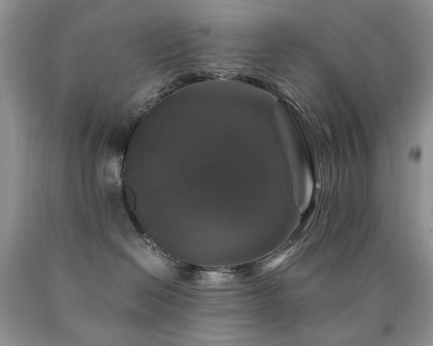 X0000090760286200707201510